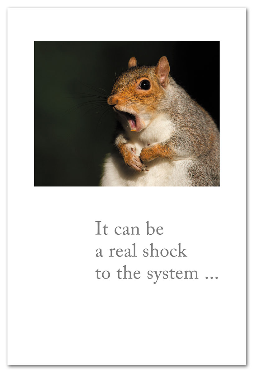 Scared Squirrel birthday card.