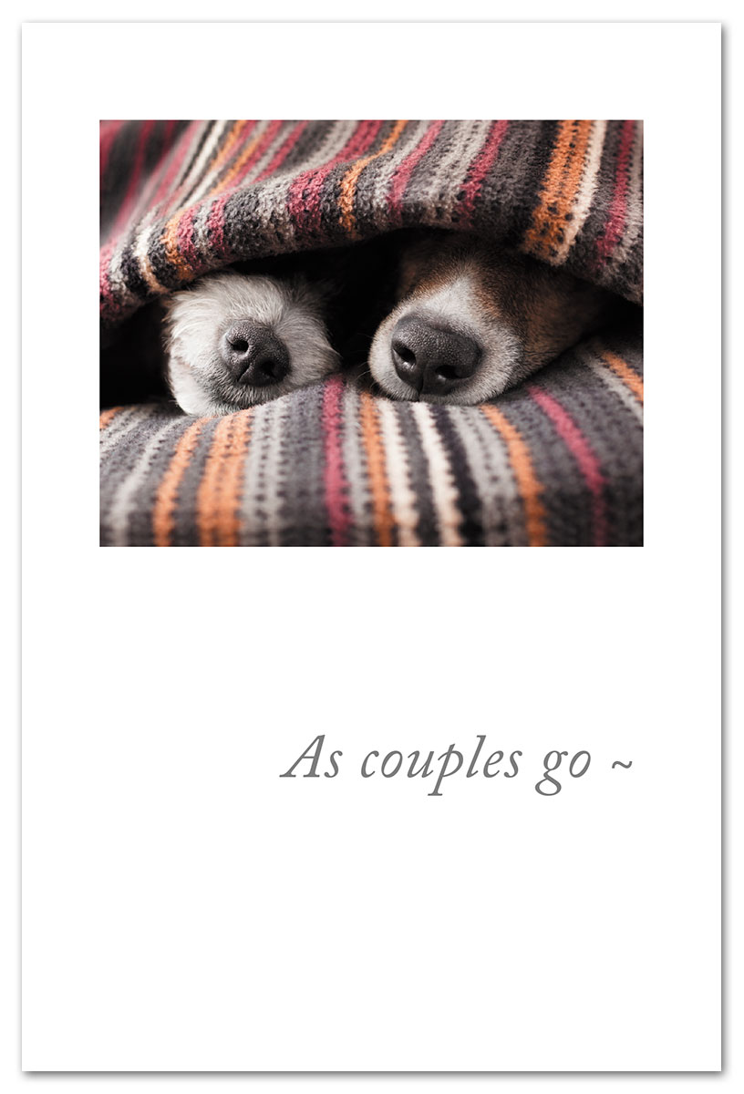 Dogs cuddling under blanket couples card.