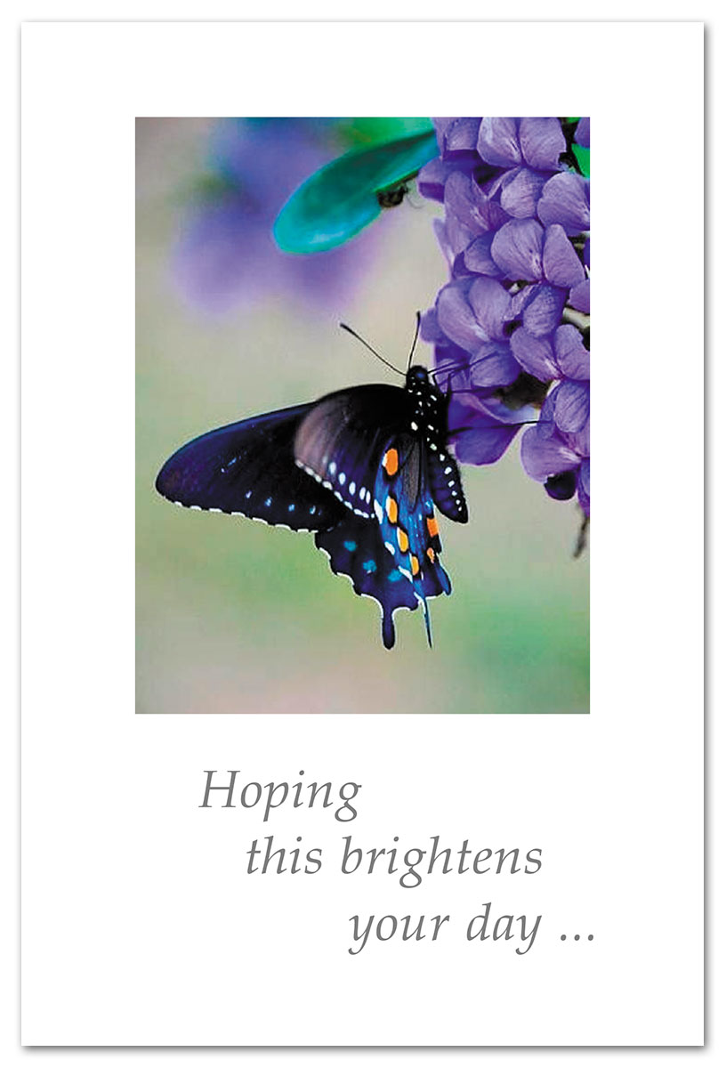 Butterfly on purple hydrangea thinking of you card.