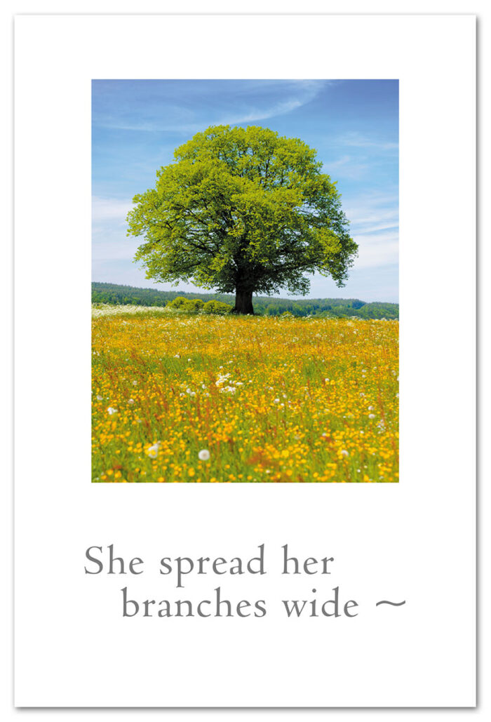She spread her branches wide condolence card.