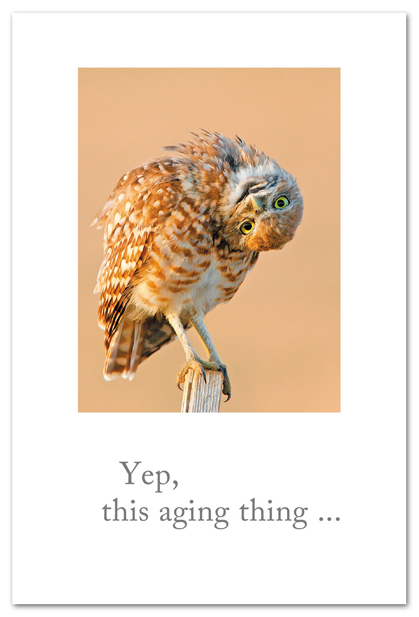 Burrowing owl birthday card.