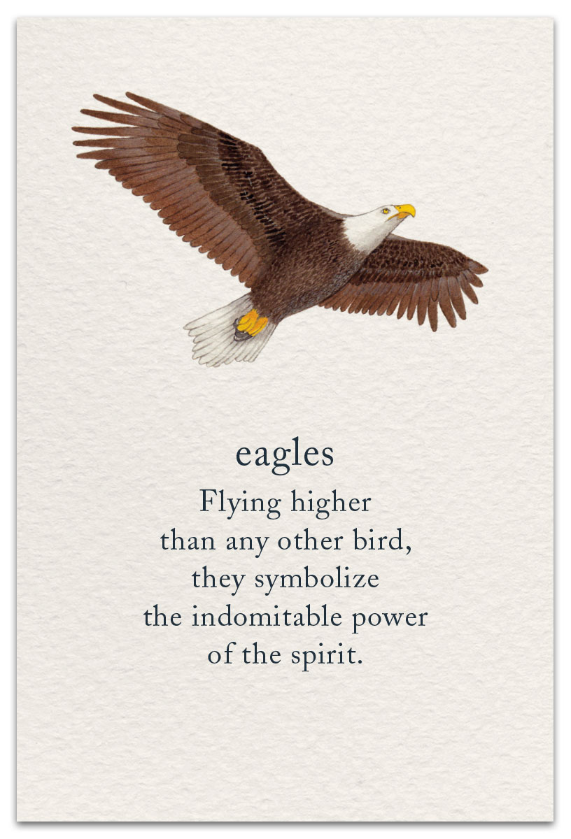Sympathy Eagle Flying River Trees Sky Boulders Sympathy Greeting Card NEW 