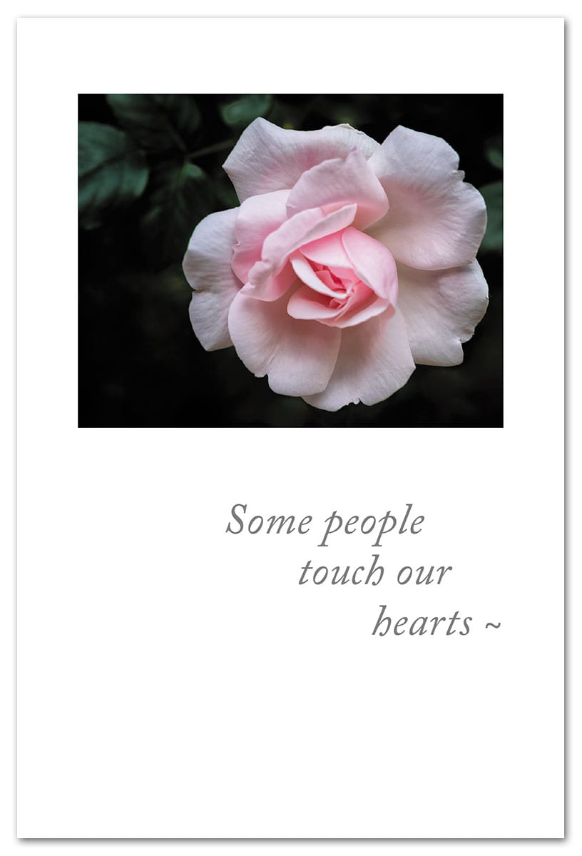 Pink Garden Rose Condolence Card.