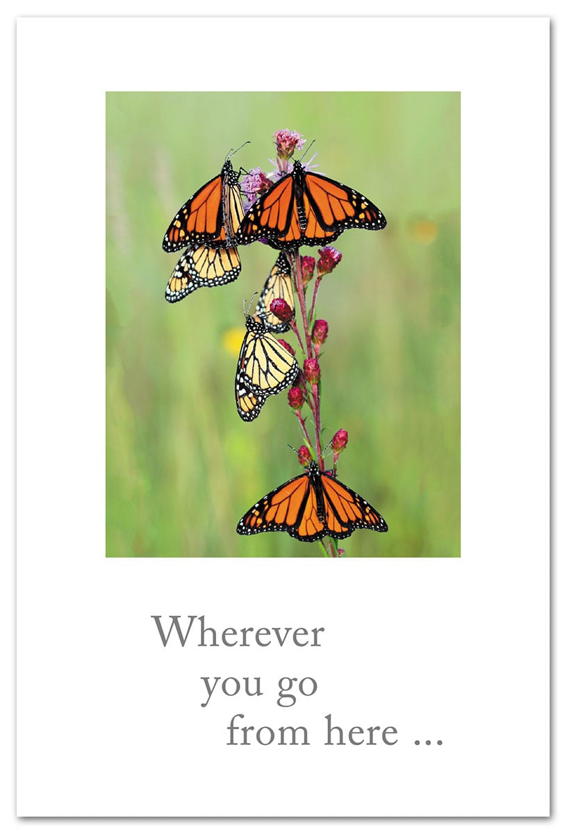 Monarchs on Thistle Support & Encouragement Card.