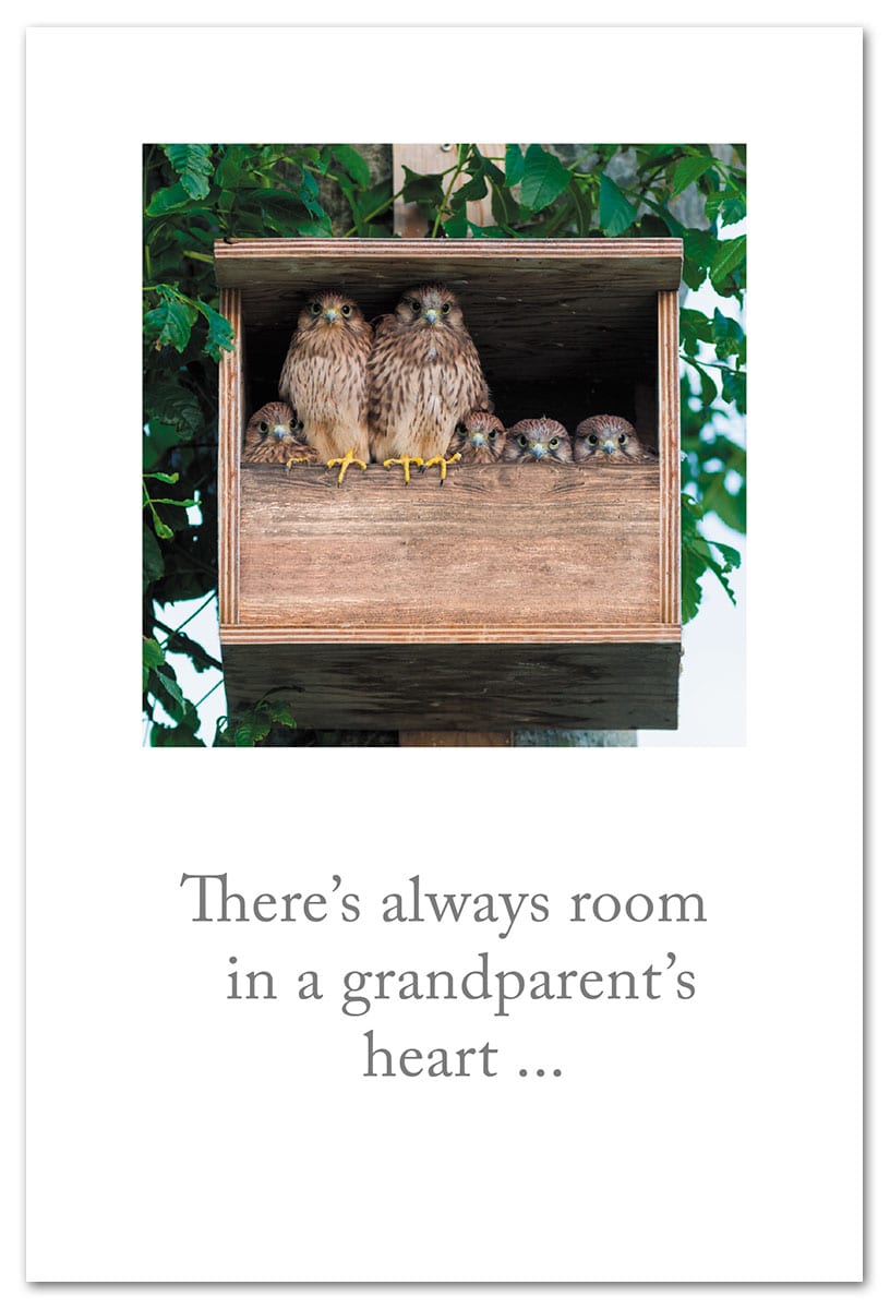 Owl Family in Bird House New Baby Card.