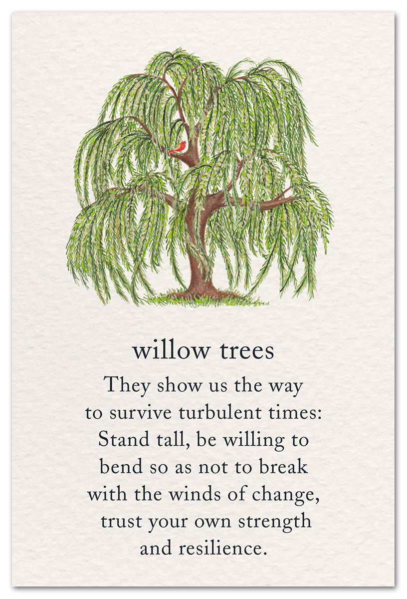 Willow Tree card, Support & Encouragement Card