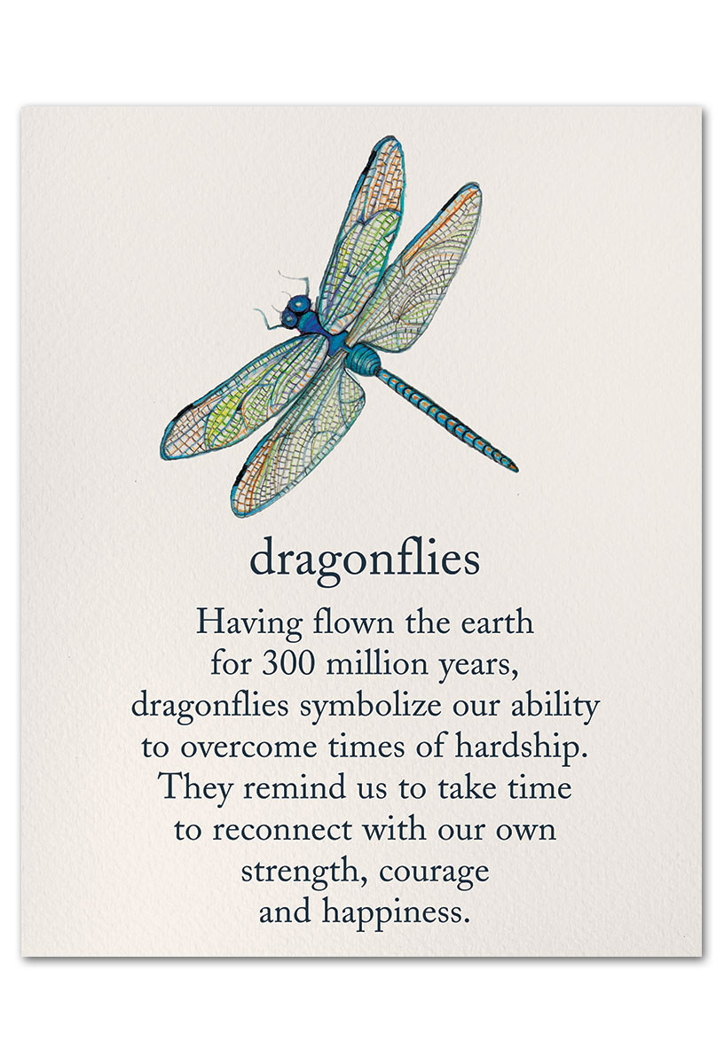 Dragonflies art print.