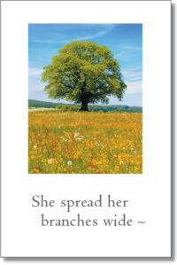 ALT="Cardthartic Passages condolence card with tree of life"