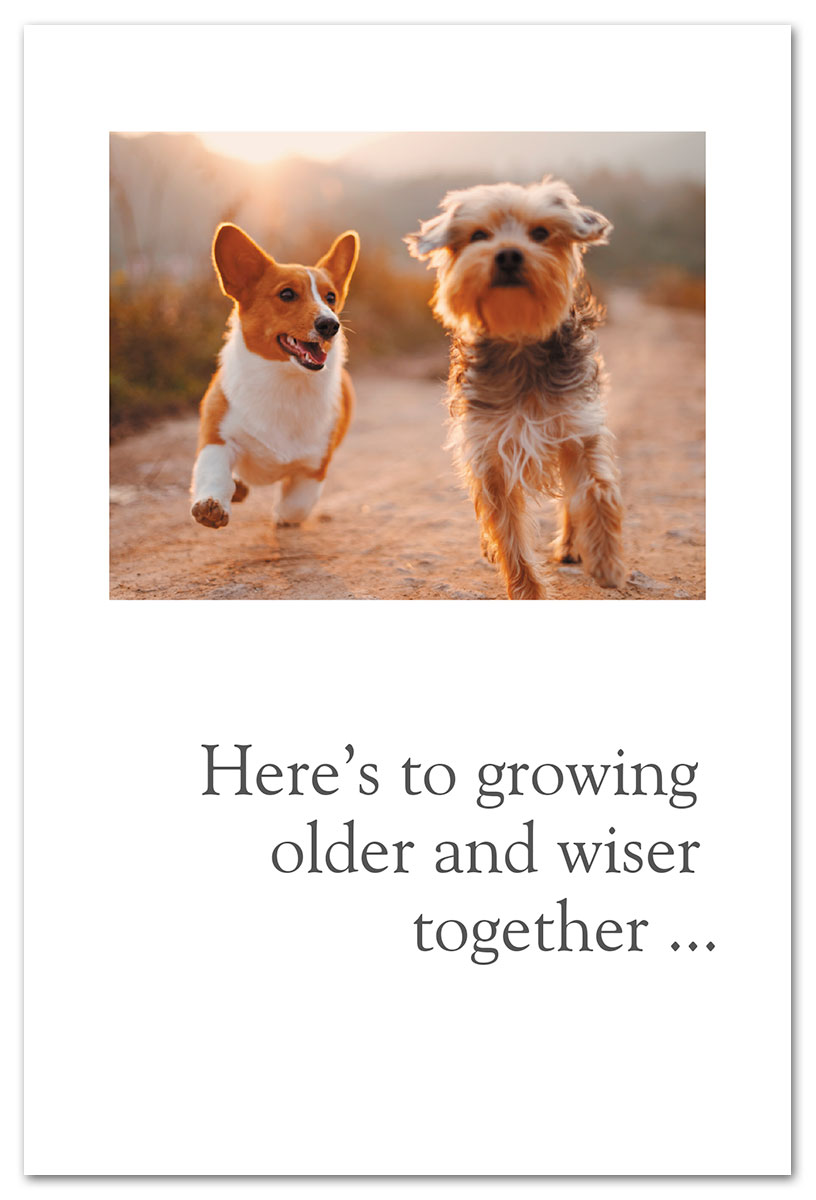 dogs running together card