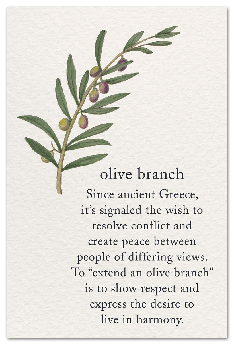 Olive Branch card