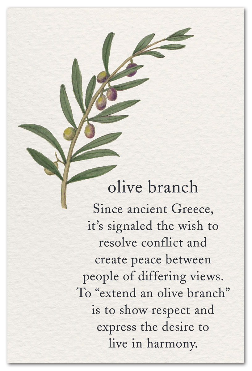 Olive BRANCH greeting card – Leafy Lexicon