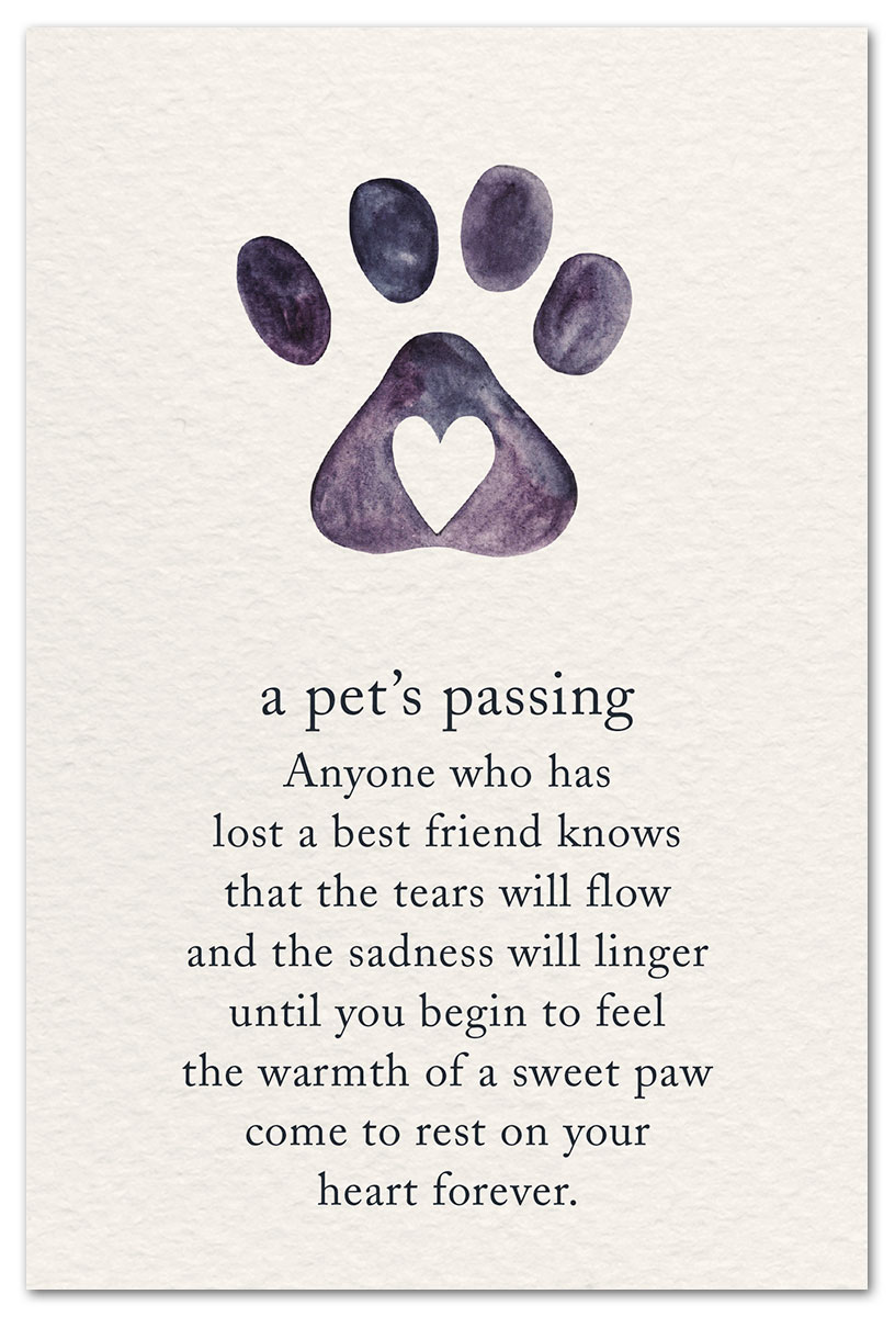 loss-of-pet-dog-sympathy-card-gazing-outside-dog-sympathy-dog