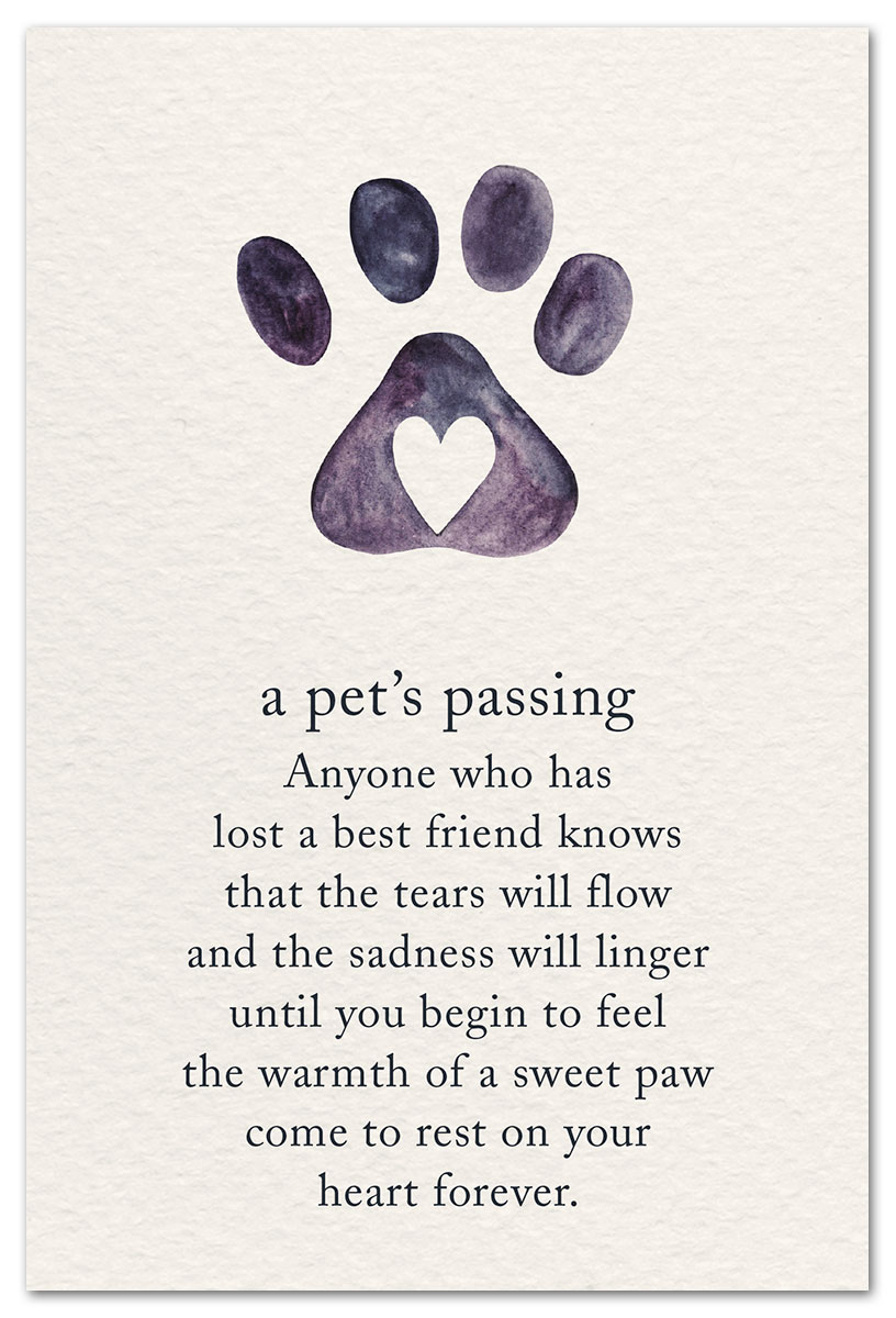 A Pet’s Passing Card Pet Condolence Card Cardthartic