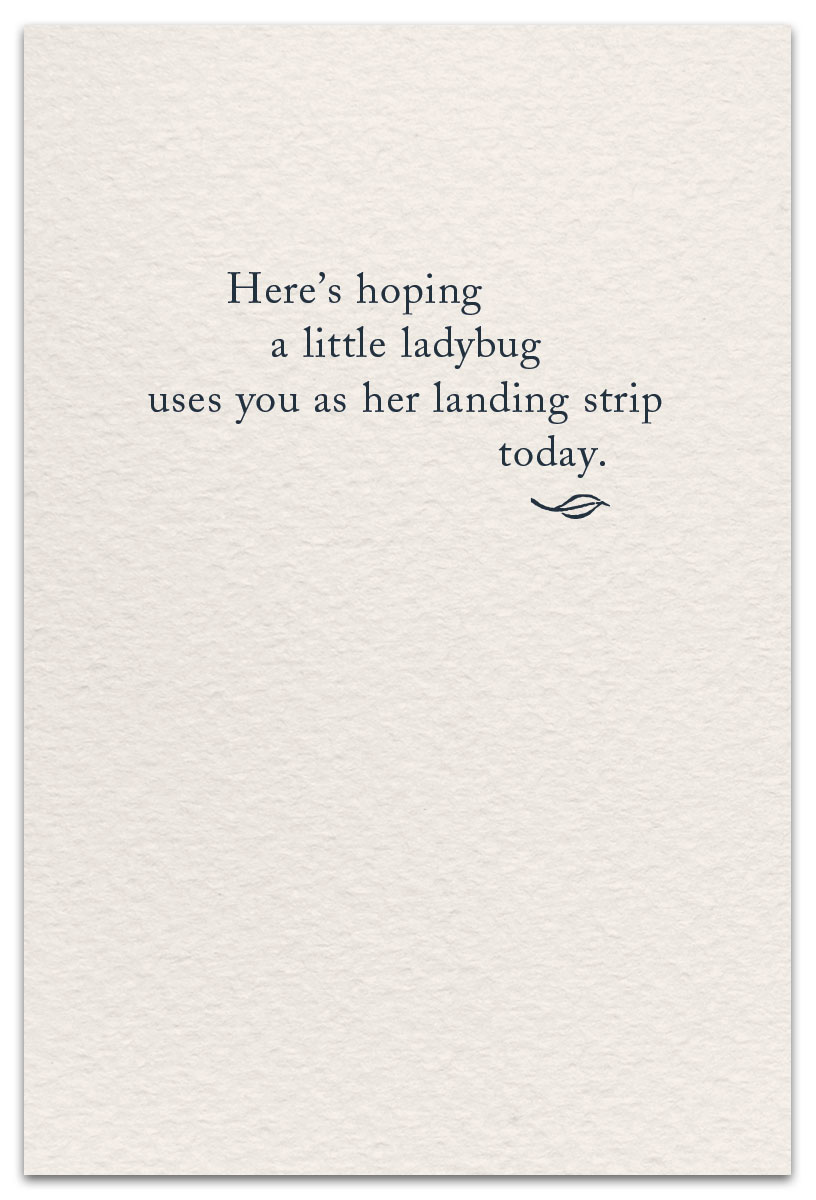 Ladybug Condolence Card- 1211 Ladybug Condolence Card- 1211
