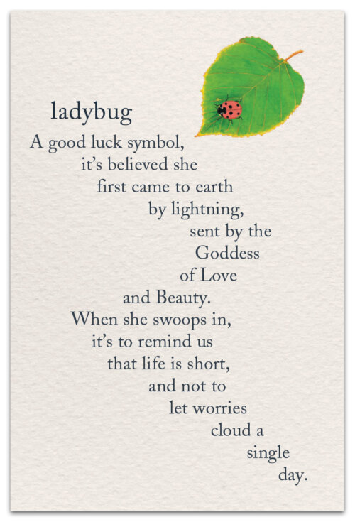 Ladybug Condolence Card- 1211 Ladybug Condolence Card- 1211