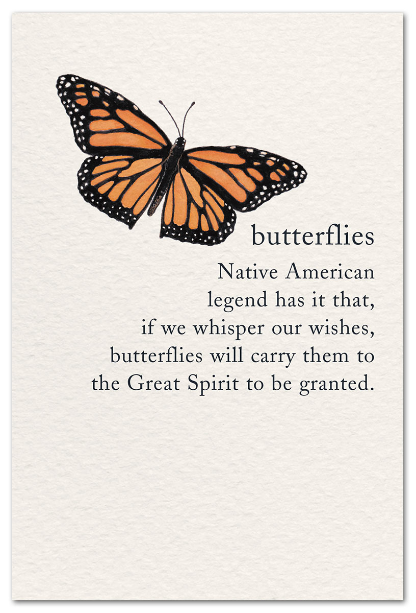 Birthday Butterfly Card Birthday Butterfly Card